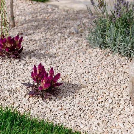 Parona With Private Pool 别墅 Vilanija